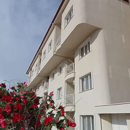 Nesa Palas-2